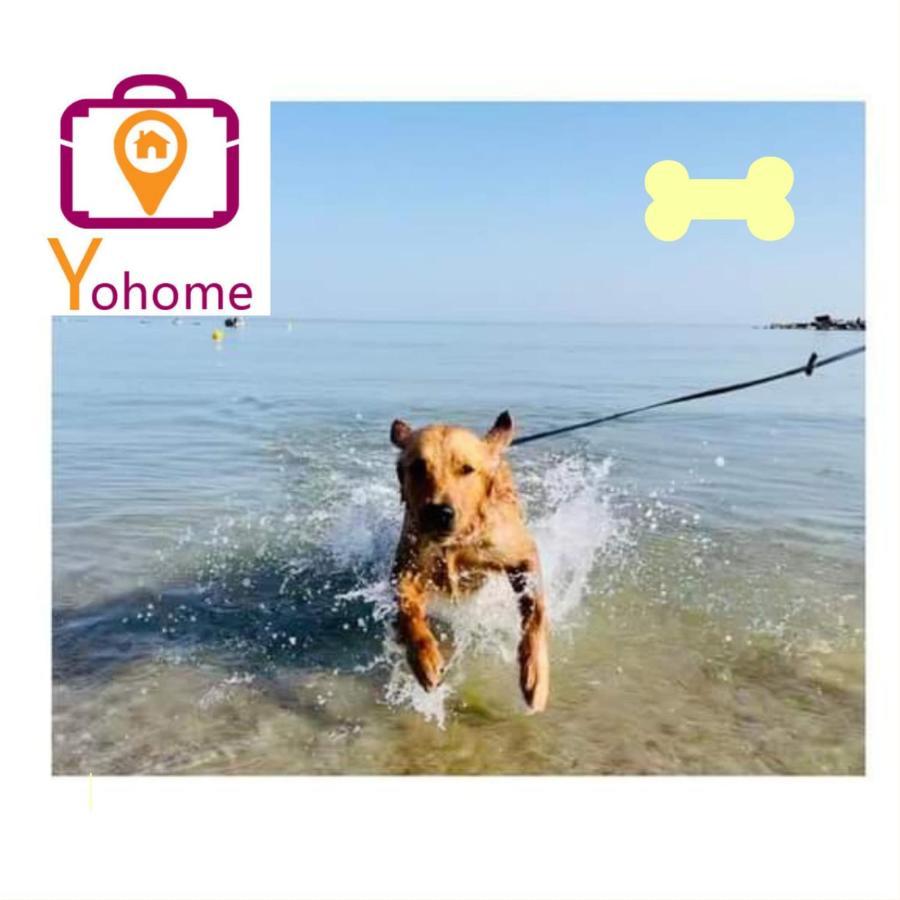 Zara D'Amare A Pesaro 10 Metri Dalla Spiaggia By Yohome Eksteriør bilde